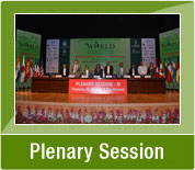 Plenary Session