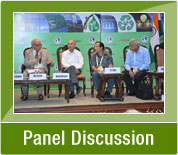 Panel Discussion